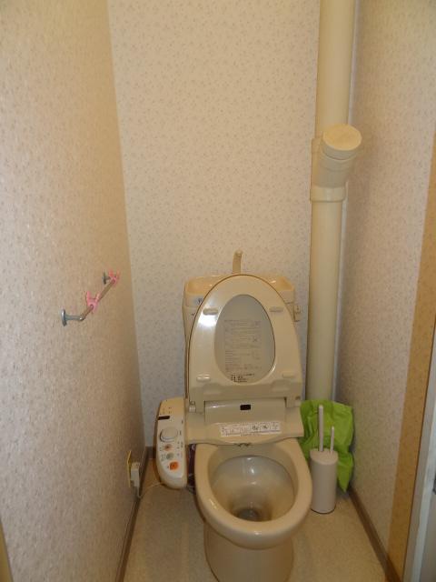 Toilet. Indoor (12 May 2013) Shooting