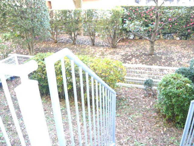 Garden. Local (12 May 2013) Shooting