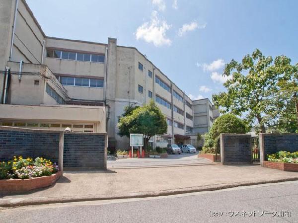 Primary school. Matsudo Municipal Hachigasaki 800m up to elementary school
