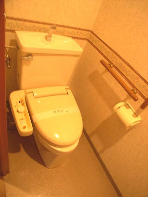 Toilet. WC of Washlet.