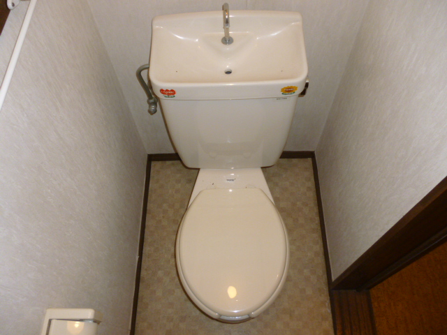 Toilet. Western style Standard type