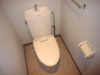 Toilet. Heating toilet seat