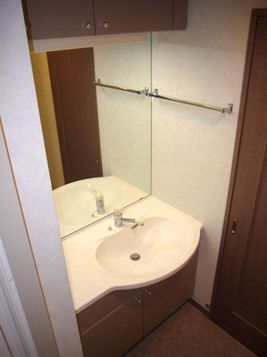 Washroom. Large mirror surface of the independent vanity