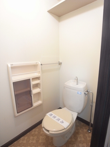 Toilet. You can clean storage shelf or paper holder.