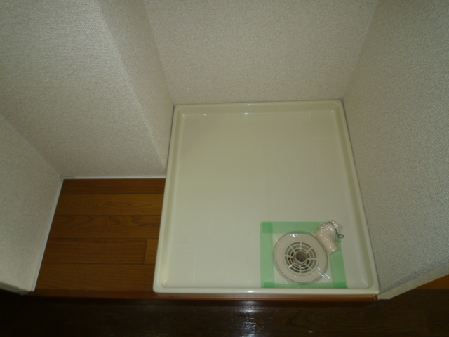 Washroom. Washing machine in the room RC Zoyoru washable