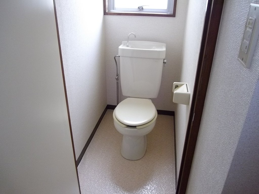 Toilet. It is a photograph of another room