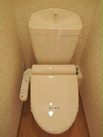 Toilet. With warm water washing toilet seat function