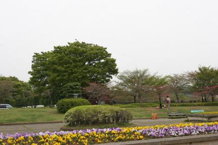 park. 1355m to Matsudo Sports Park (Park)