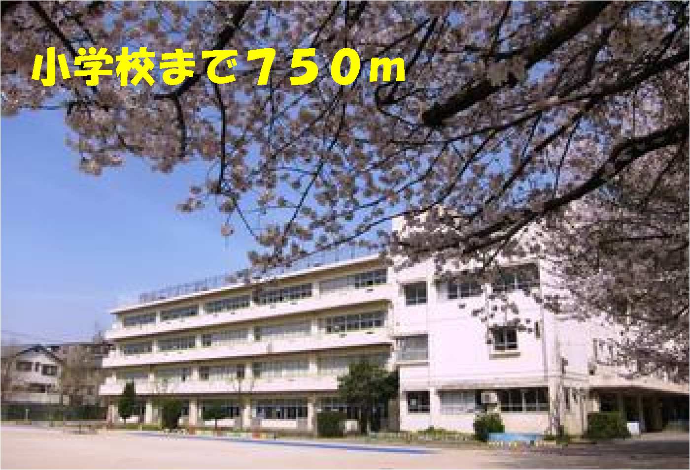 Primary school. Makinohara up to elementary school (elementary school) 750m