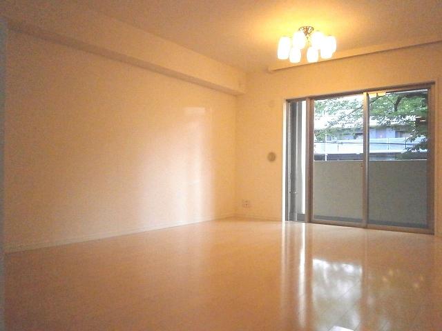 Living. Indoor (June 2013) Shooting