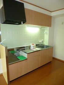 Kitchen. Gas stove installation Allowed