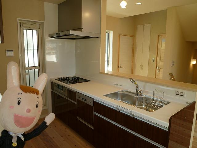 Kitchen. Indoor (December 3, 2013) Shooting