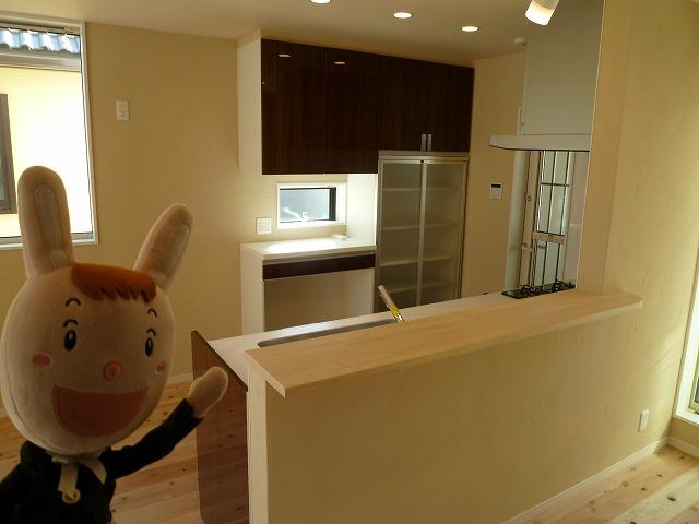 Kitchen. Indoor (December 3, 2013) Shooting