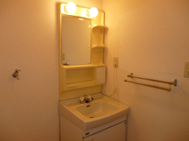 Washroom. Happy independence vanity