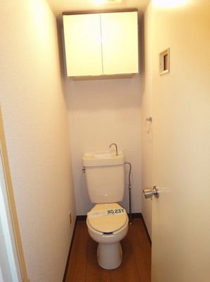 Toilet. With storage toilet