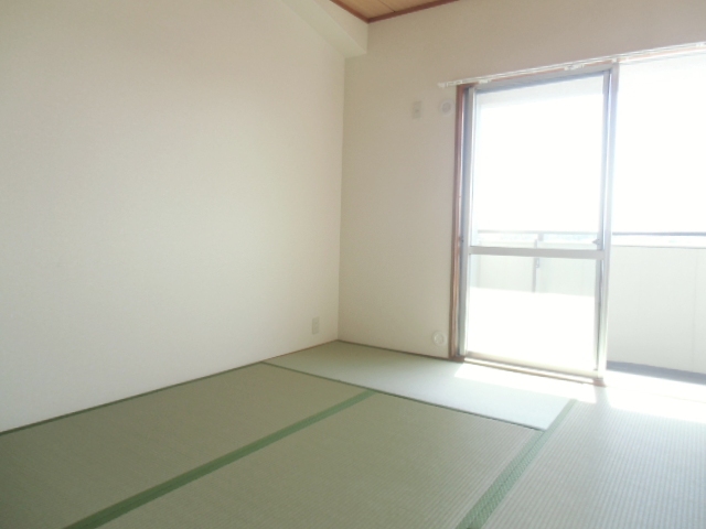 Other room space. Japanese-style room is calm