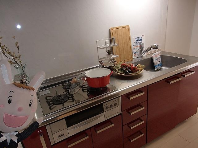 Kitchen. Indoor (24 December 2013) Shooting