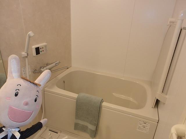 Bathroom. Indoor (24 December 2013) Shooting