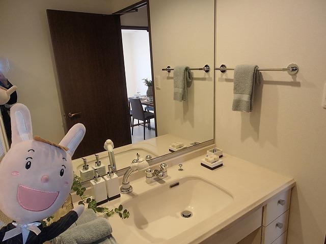 Wash basin, toilet. Indoor (24 December 2013) Shooting