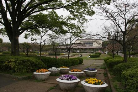 park. 450m to Matsudo Sports Park (Park)