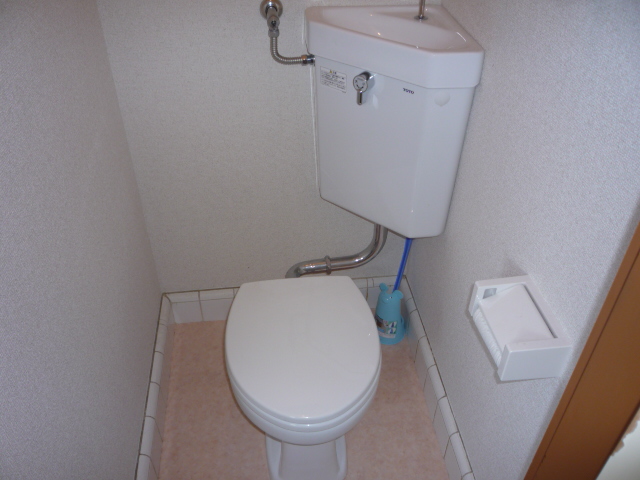 Toilet. Western-style toilet