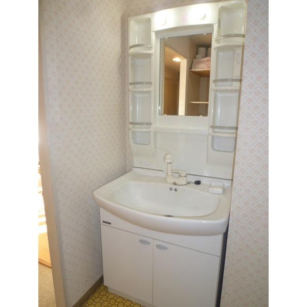 Wash basin, toilet. Bathroom Vanity