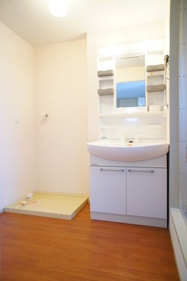 Washroom. Shower Dresser