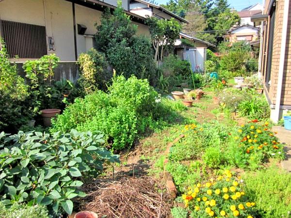 Garden. It is a photograph of Nantei. Sunny seller like has grown vegetables and flowers
