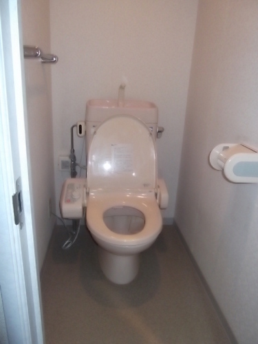 Toilet. Toilet (interior ago)