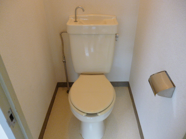 Toilet. Western style Standard type