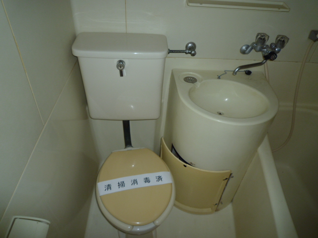 Toilet. Western Standard