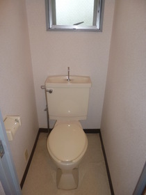 Toilet. Other, Room photo use. It will be in the image.