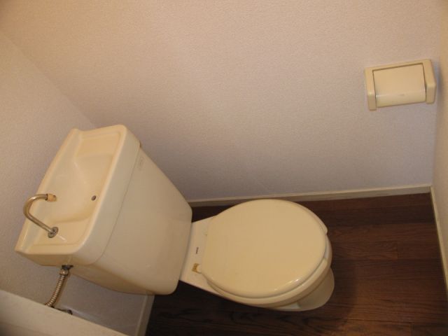 Toilet. Japanese style room