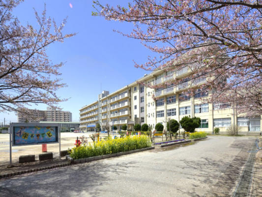 Primary school. 813m to Matsudo Municipal Yokosuka elementary school (elementary school)