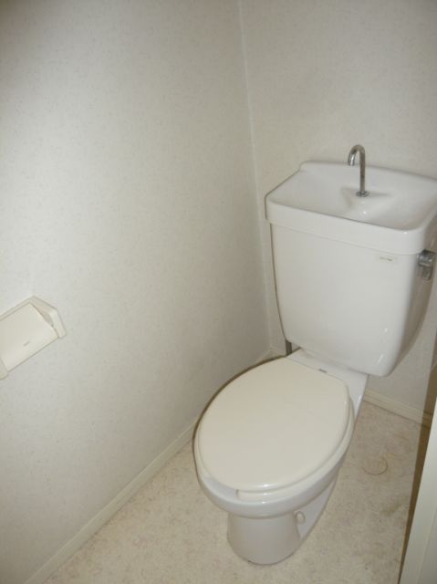 Toilet. It is Western-style restroom