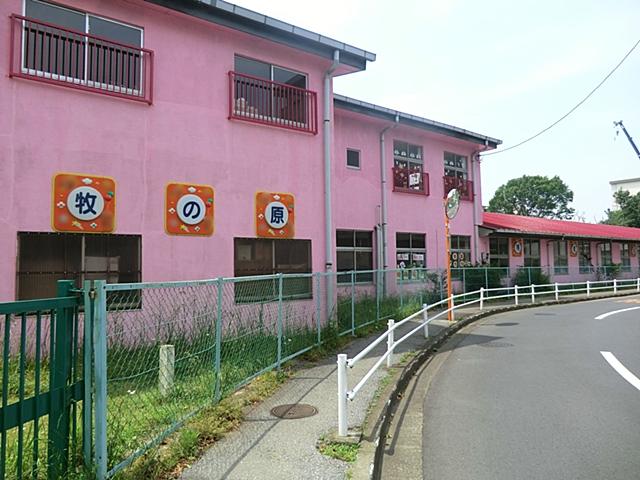 kindergarten ・ Nursery. Makinohara satinwood to kindergarten 476m