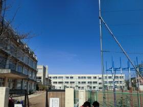 Primary school. Elementary school, which is 1091m commute to the northern elementary school here