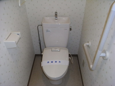 Toilet. Toilet