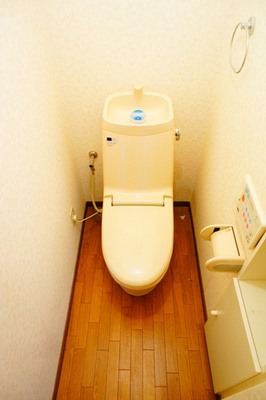 Toilet. Comfortable warm water washing toilet seat