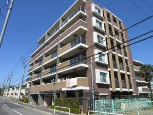 Local appearance photo. Mansion appearance (1)