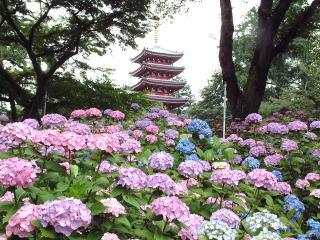 Other Environmental Photo. 1400m to the mainland temple