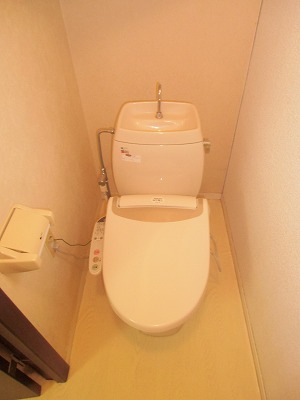 Toilet. With warm water washing toilet seat