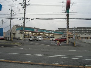 Dorakkusutoa. Drag Seimusu Minoridai shop 740m until (drugstore)