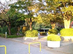 Other local. Matsudo Eastern Sports Park 780m (9-minute walk)