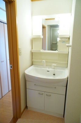 Washroom. Shower Dresser