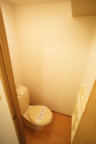 Toilet. You can clean storage shelf or paper holder.