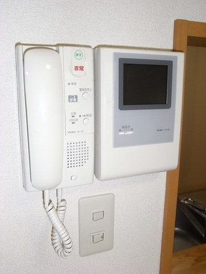 Other Equipment. TV monitor phone