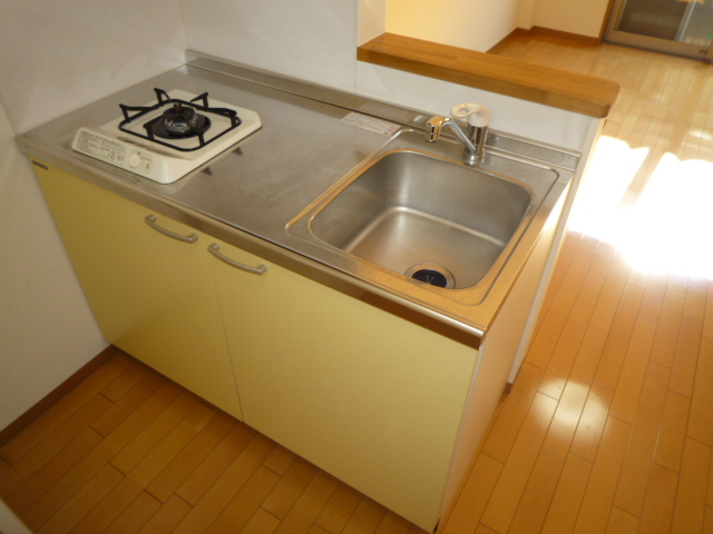 Kitchen. Counter kitchen the conversation is lively