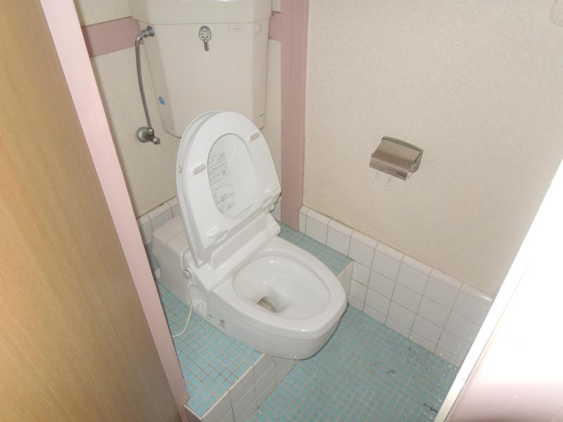 Toilet. Japanese style you, but with cover