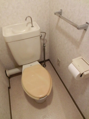 Toilet. Western-style toilet